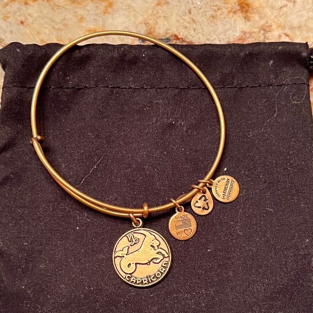 Alex and Ani Gold Capricorn charm bracelet